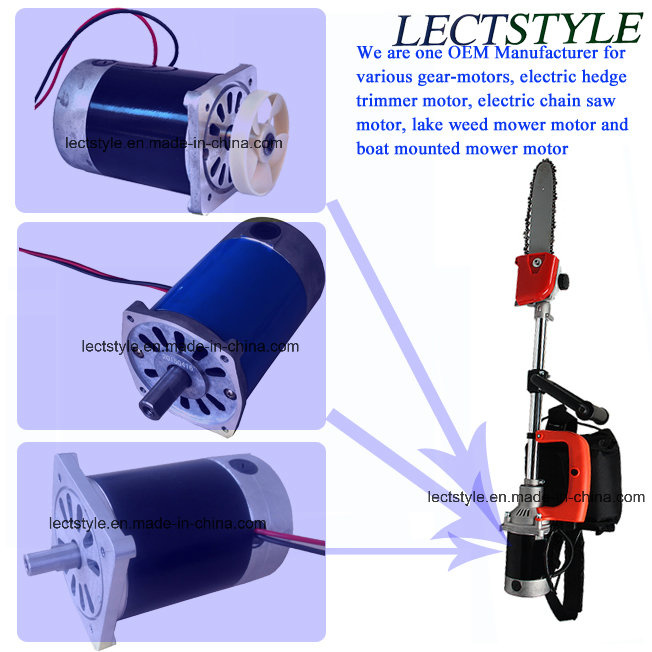24V 450W DC Motor for Power Hedge Trimmer