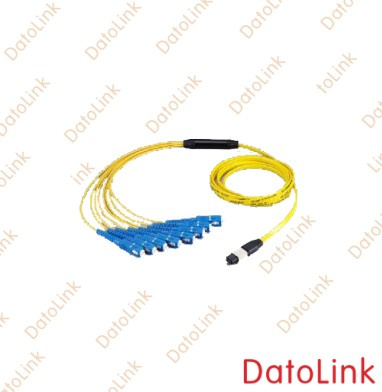 MPO Fiber Optic Patch Cord