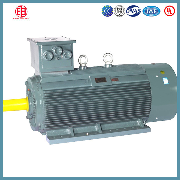 Low Voltage Large Power Three Phase Asynchronous Motor