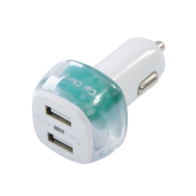 Dual USB Charger T107-9000