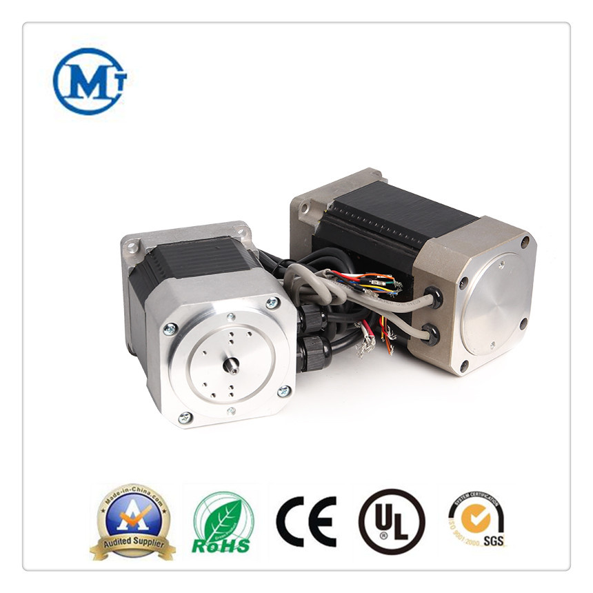 80mm 82mm 86mm 110mm BLDC Customized Brushless DC Electric Motor