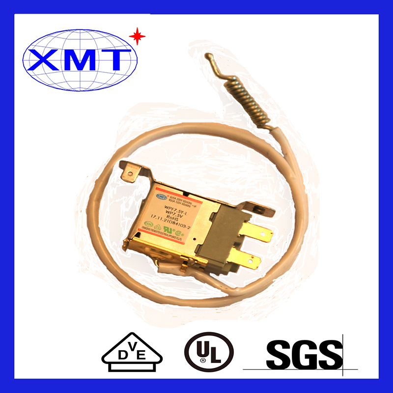 Customised Special Capiliary Single Door Thermostat