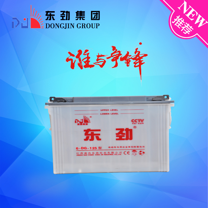 6-Dg-125 (12V125AH) Dongjin Sealed Battery E-Rickshaw Battery