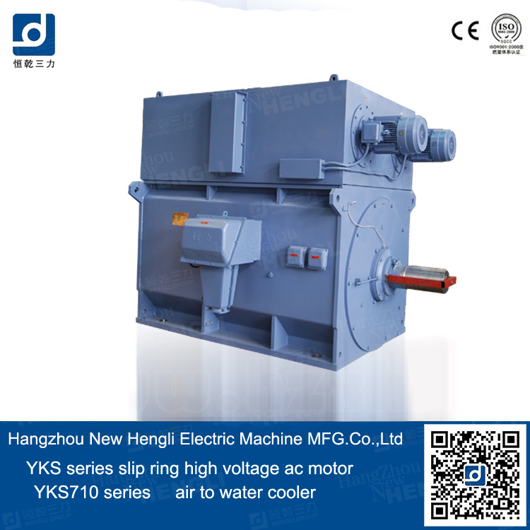 Yks Cage High Voltage Electrical Motor, AC Electrical Motor