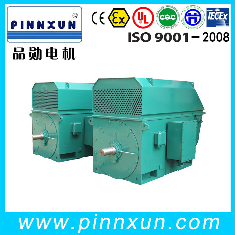 Best Quality Three Phase 6600V Motor