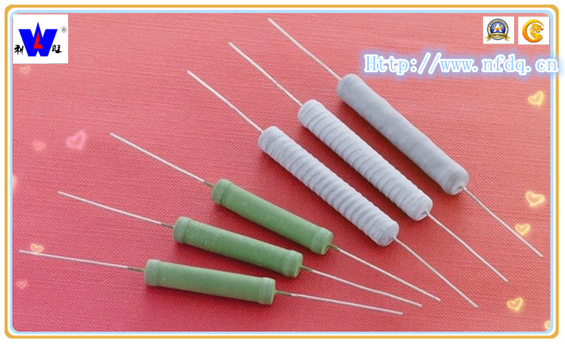 Rx21 Coating Resistor with RoHS