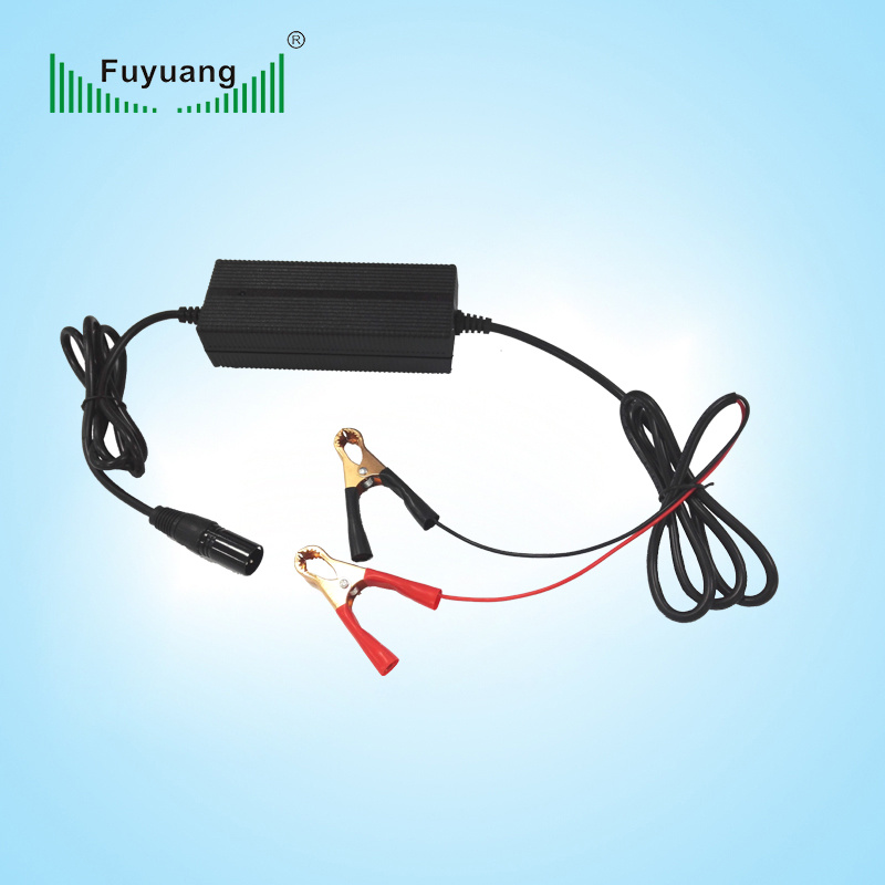 Input DC12V Output 42V 2A Battery Charger for Car Factory