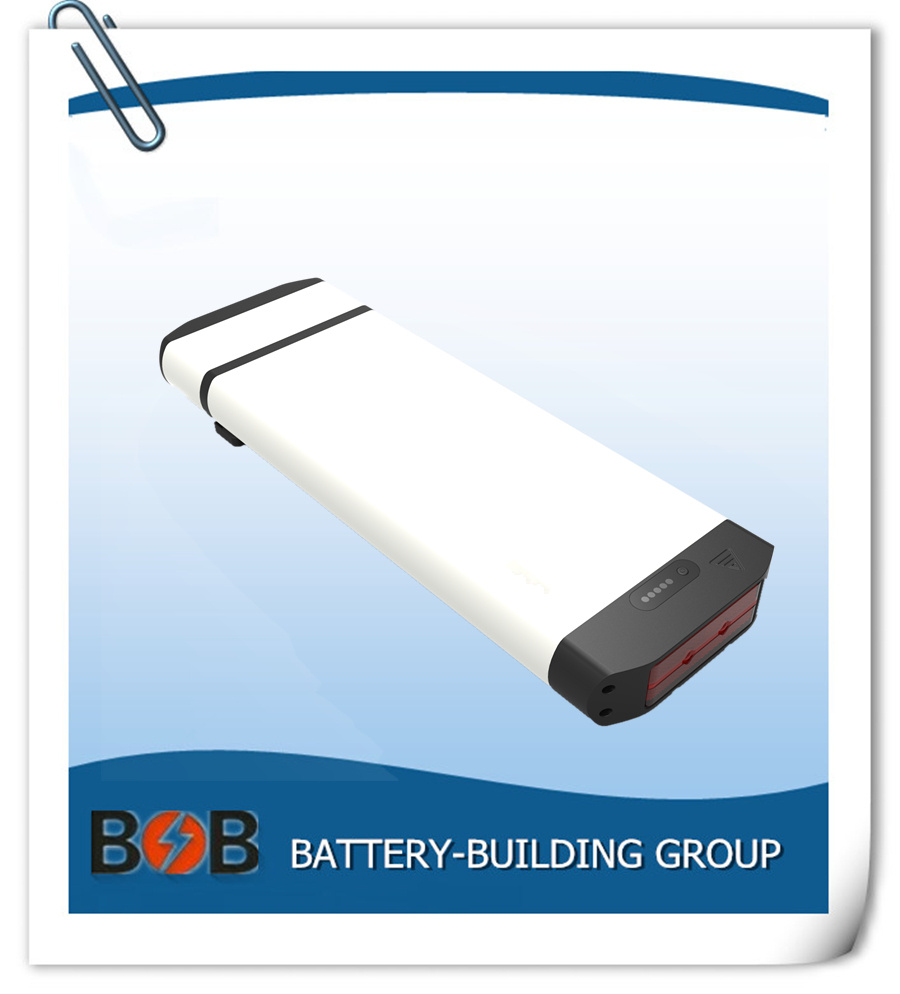 48V 750W Electric Bike Battery Lithium Battery