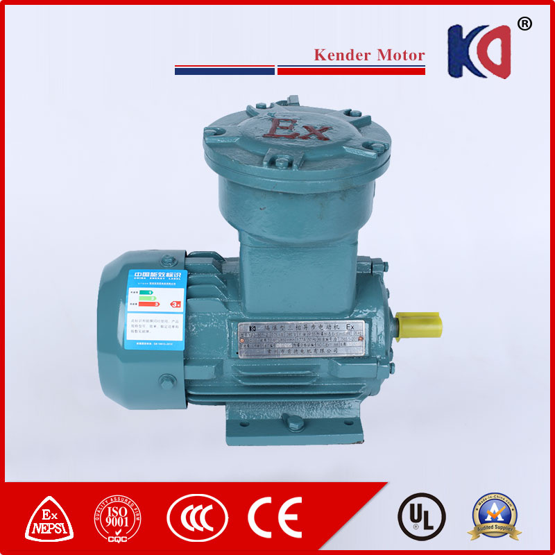 2016 Hot Sale Explosion Proof AC Electric Motor