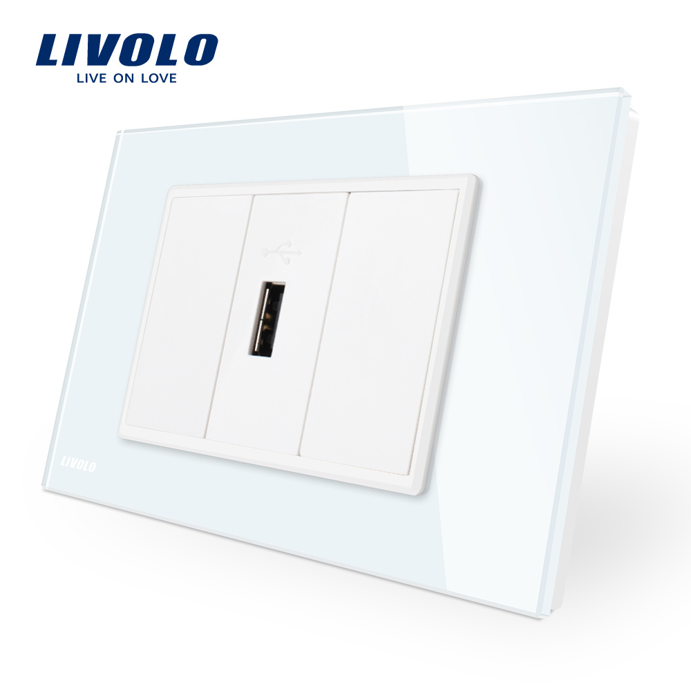 Livolo New Series C9 1 Gang USB Socket Vl-C91USB-11