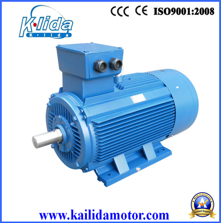 Electric Motor, High Efficiency, Three Phase Y2 Series