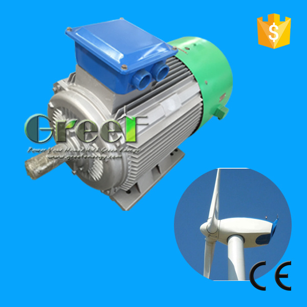 High Quality Permanent Magnet Motor Price