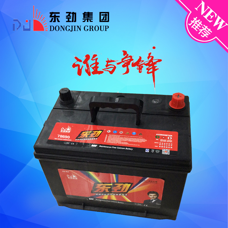 High Specific Energy 12V65ah Lead Acid Auto Car Battery