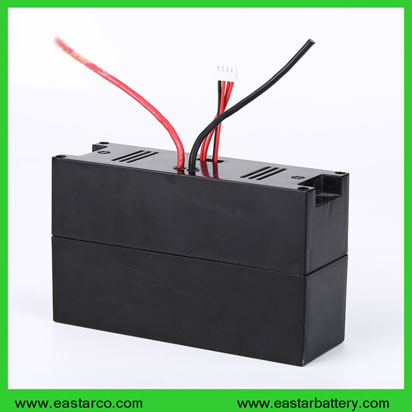 Lithium Battery 24V 10ah Lithium Ion Battery for Sea E-Scooter with Ce Certification