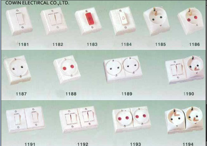 French Ingelec Wal Switch Socket