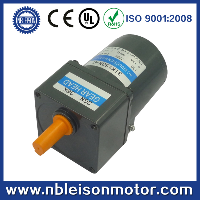 15W Low Rpm AC Induction Gear Motor
