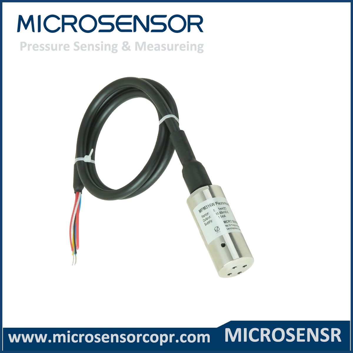 Level Transducer with Mv Output IP68 Protection Mpm316W