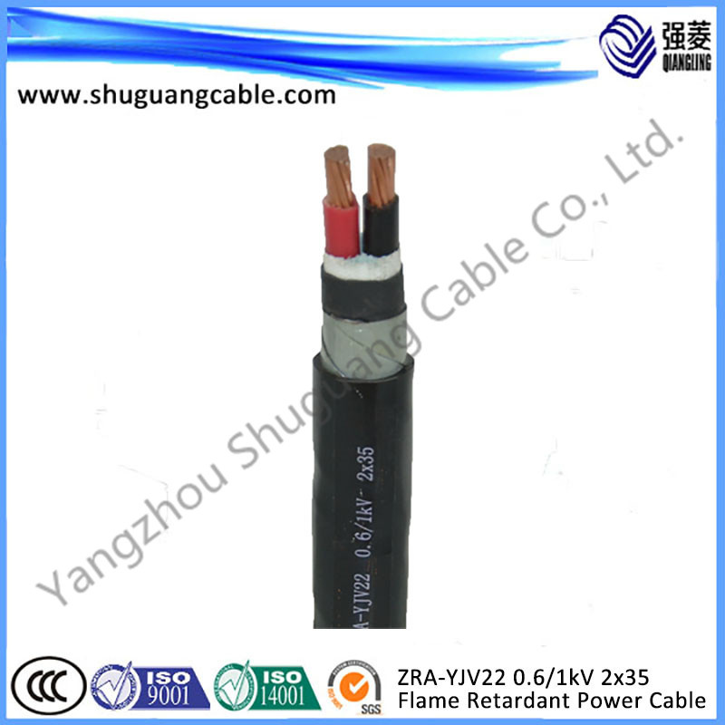 Zr-Yjv22 0.6/1kv 2X35/LV/XLPE Insulation/Power Cable