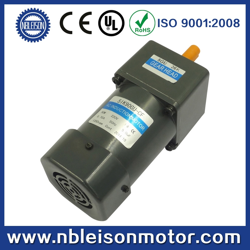 CE RoHS 110V 220V 90W Induction Motor