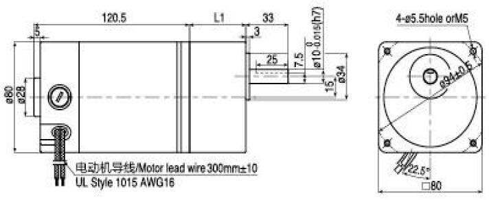 40W 12V DC Brushed Gear Motor with CE