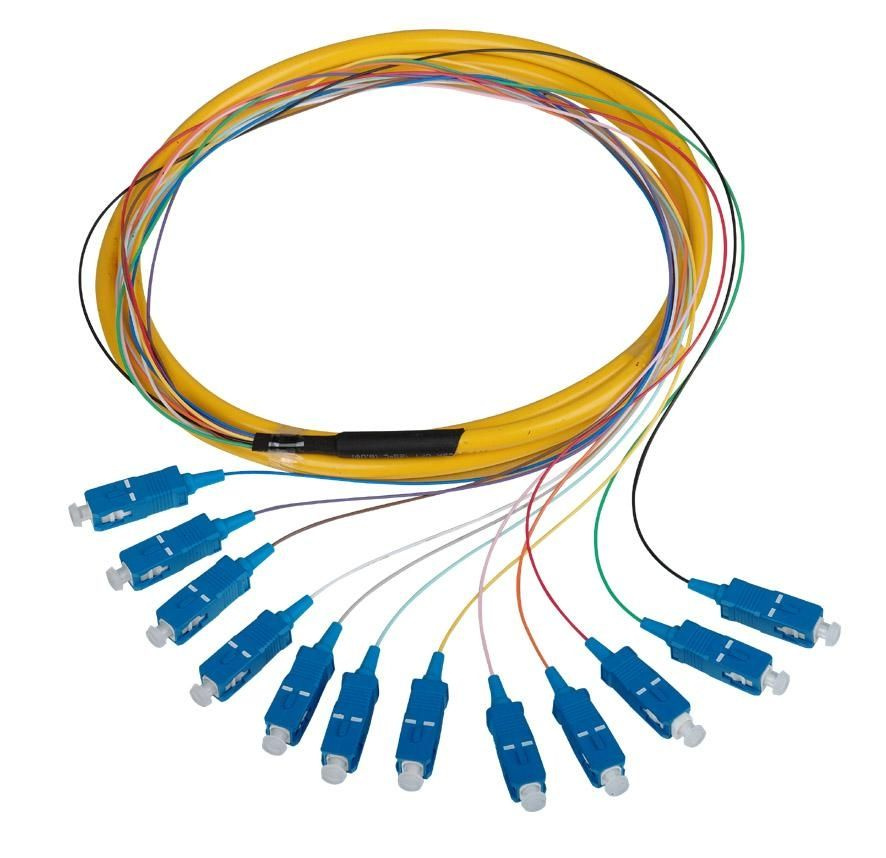 Fiber Optic Sc Sm LSZH Patch Cord Singlemode and Multimode