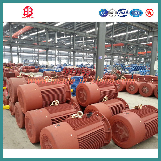 Light Weight Three Phase Electric Induction Motor 30kw