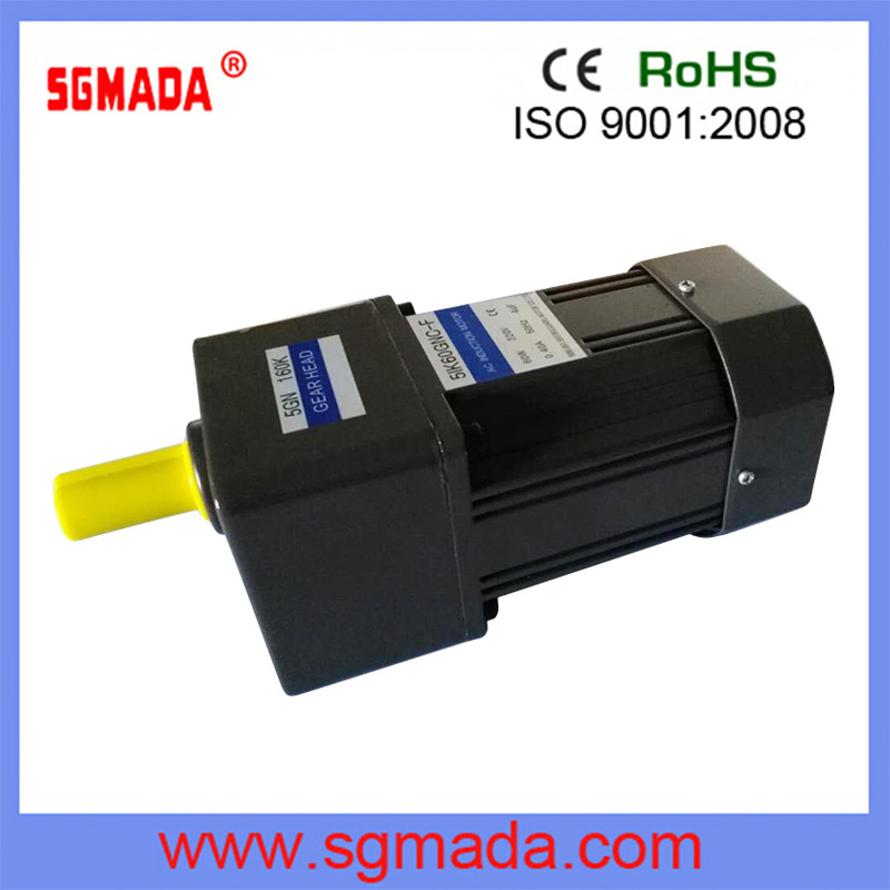Single Electrical Mini AC Motor with Ce, RoHS