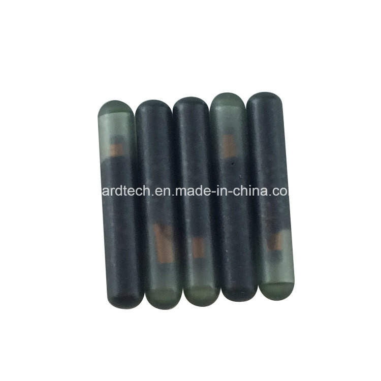 125 kHz/ 13.56MHz Pet Fish Dog ID Tag RFID Microchip