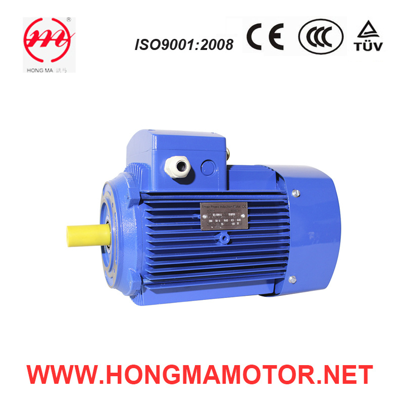 IP55 Three Phase Water Pump Induction Motor
