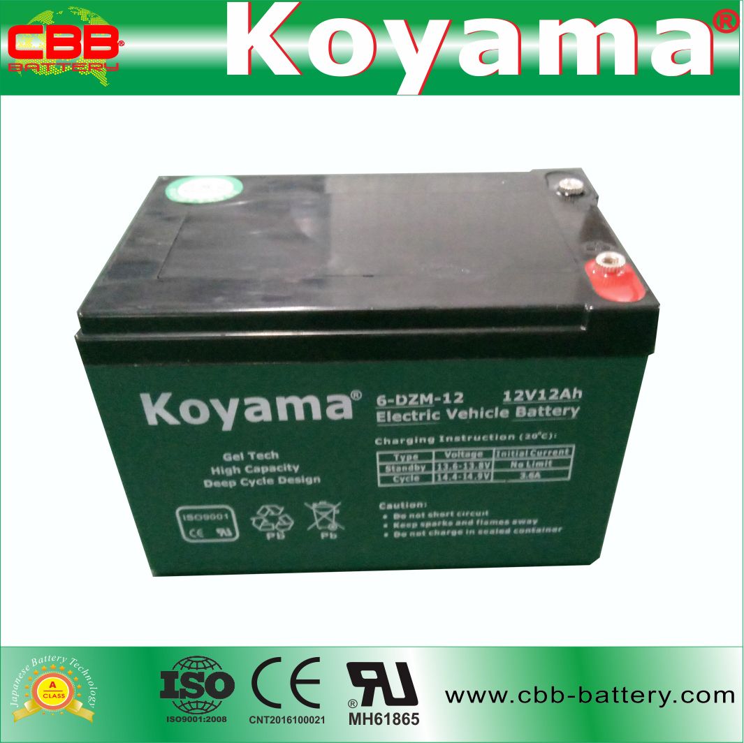 12V Lead Carbon Battery 6-Dzm-12 12V 12ah Bicycle Battery