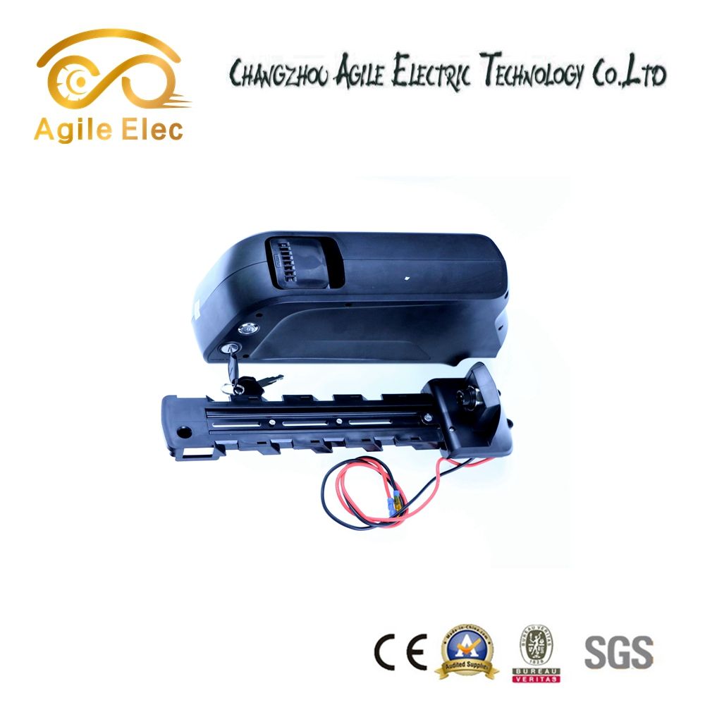 Down Tube Type Electrc Bike Lithium Battery with Internal BMS