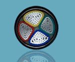 XLPE Insulated Power Cable (0.6/1kV AL/XLPE/STA/PVC)