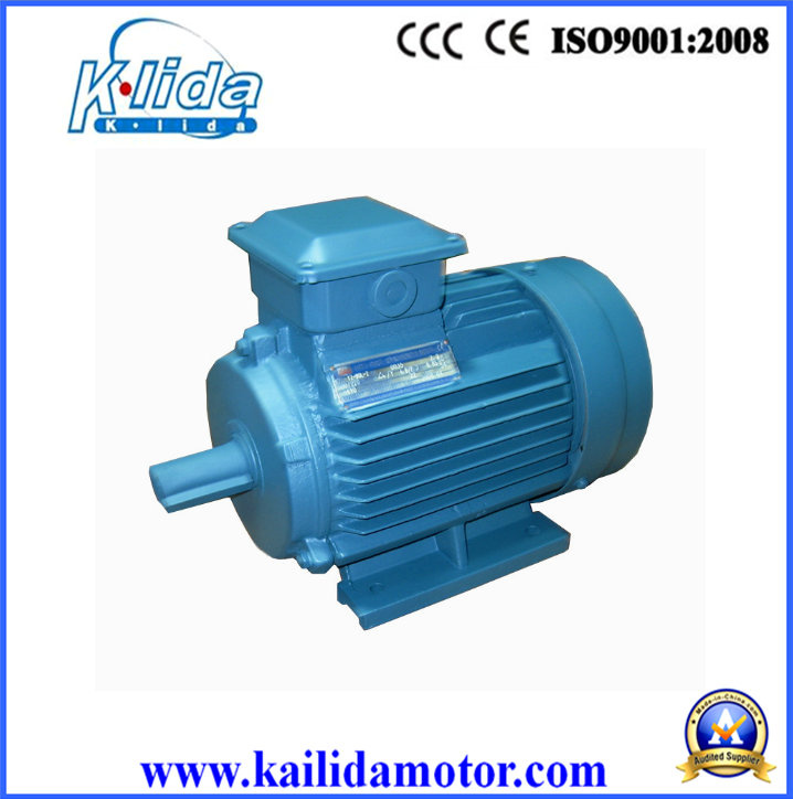 Three Phase, High Efficiency, Induction Electric Motor with CE Certificates