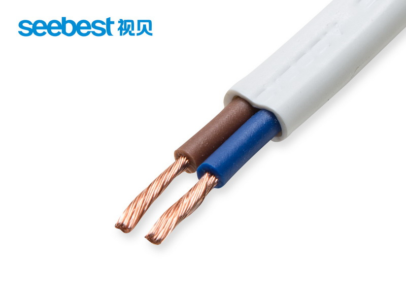 Flat Electrical Wire for Sale, Electrical Wire for Philippines