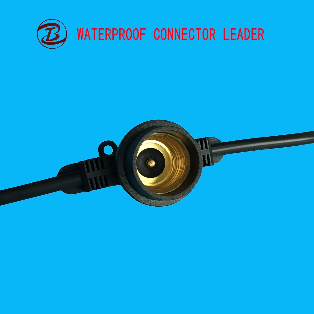 Shopping Online Waterproof Lamp Holder with Switch