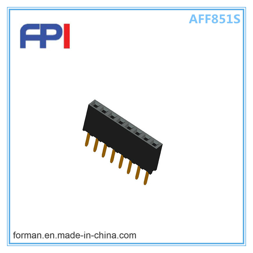 2.54mm Double Row DIP Type Female Header