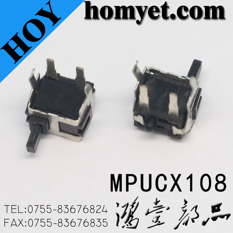 2pin DIP Reset Switch with 2 Pin Support Case
