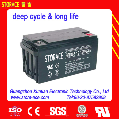 12V 65ah Deep Cycle Battery (SRD65-12)