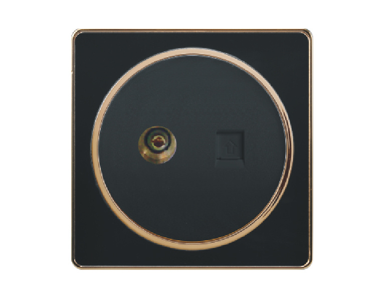 Hz-015 TV and Data Socket