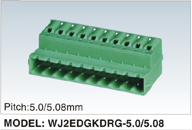 New Developing PCB Terminal Block (WJ2EDGKDRG-5.0/5.08mm)