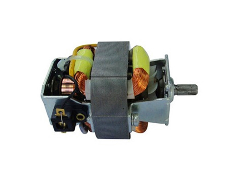 AC Motor for Hair Dryer with EMC