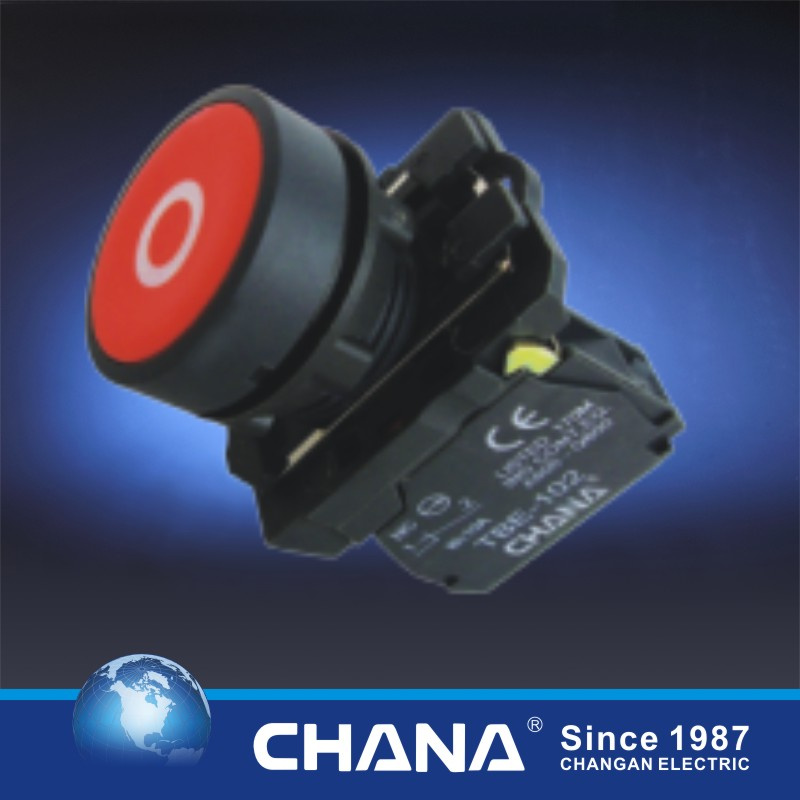 Flush Pushbutton Switch with Symbol Logo