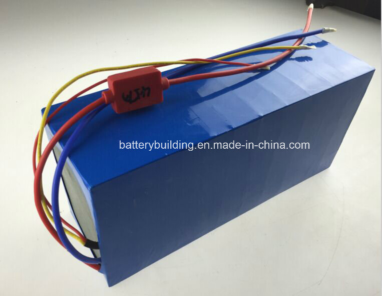 High Power 48V 30ah Lithium Battery Pack for E-Vehicle