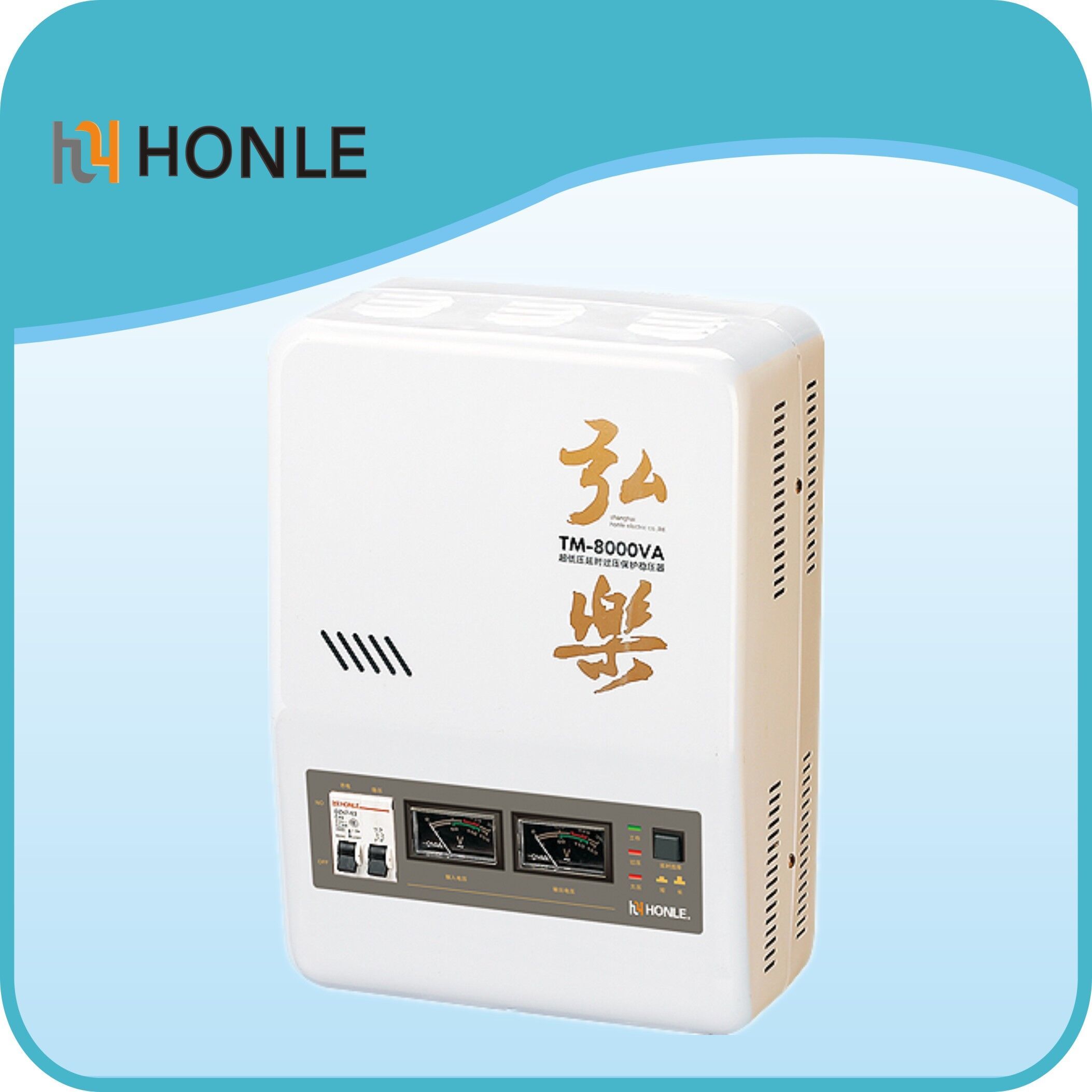 TM-3000va Automatic AC Voltage Regulator Used in Computer Rooms