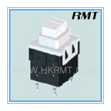 Push Button Switch (P123D10011)