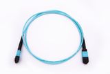 12f MPO-MPO Fiber Optical Jumper mm