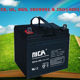 36V Deep Cycle Battery Motive Battery 33ah