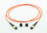 MPO MTP 12 Cores 3.0mm Fiber Optic Cable Patchcord