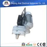 Torque Direct Drive Electric Gear 550W Induction Motor Model