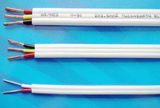 TPS Power Cable Flat Type Meets AS/NZS 5000.2&160 Standards